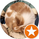 ひの profile picture